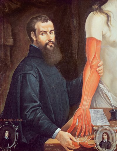 Andreas Vesalius (1514-64) by Pierre Poncet